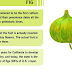 Health benefits of Figs /Anjeer