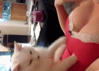 5.gif