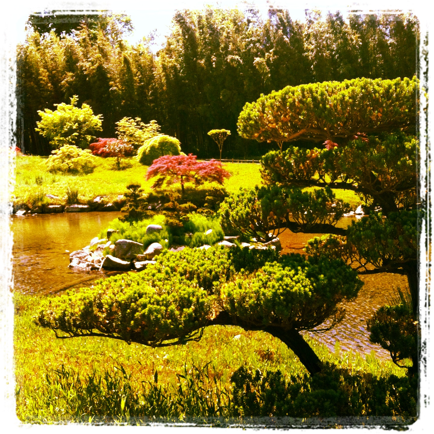 Hébergement jardin de la bambouseraie