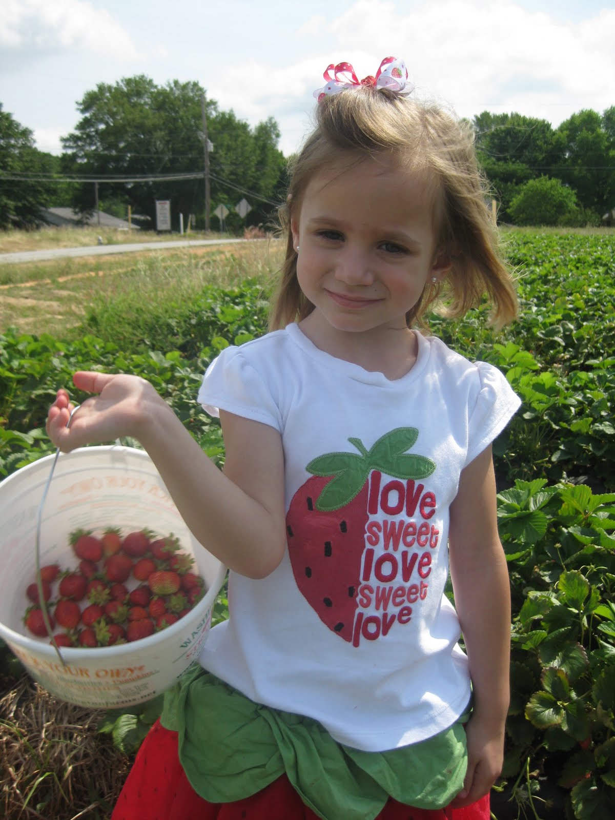 Knight and Day Strawberry Picking at Washington Farms