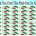 Quiz: How Quickly Can You Spot The 7 Odd Avocados In The 7 Pictures?