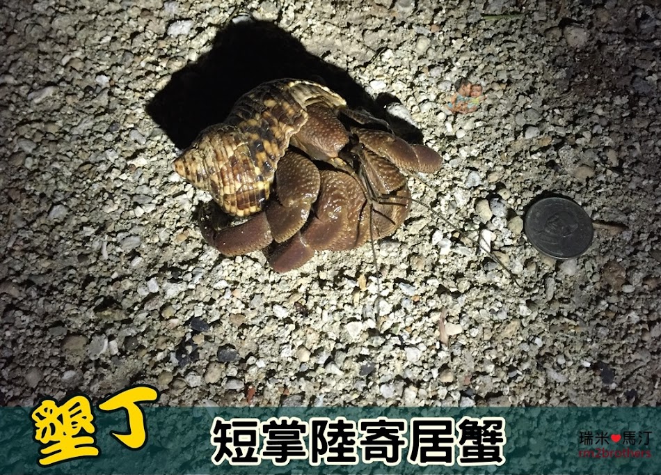 墾丁香蕉灣
