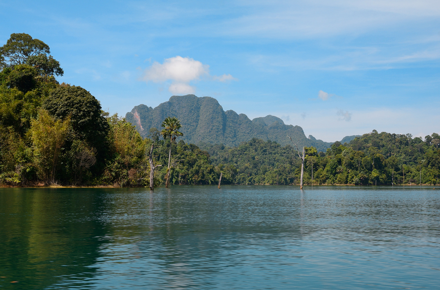 dżungla khao sok, tojlandia dżungla khao sok, tojlandia