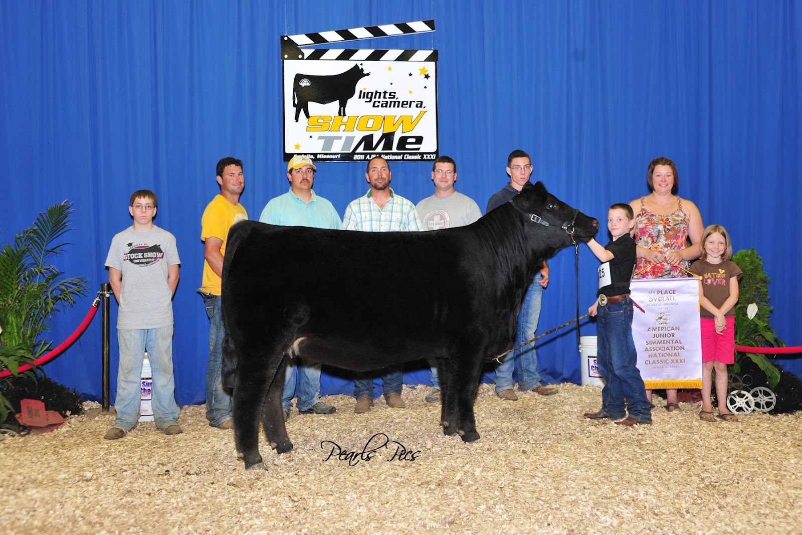 Dawson Cattle Company Shows