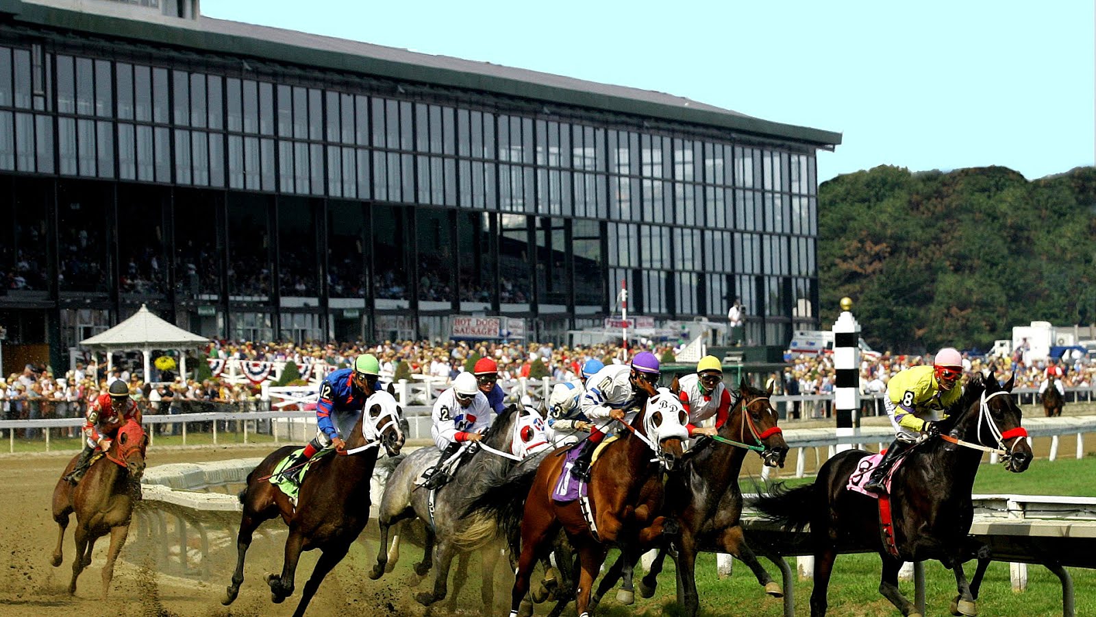 Horse Racing Massachusetts Horse Choices