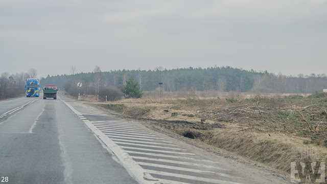 Wycinka drzew pomiędzy Szubinem a Bydgoszczą