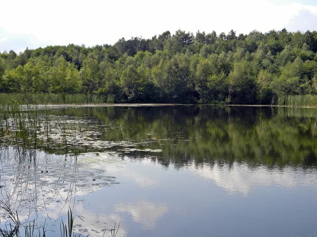 Jezioro Małe Liny
