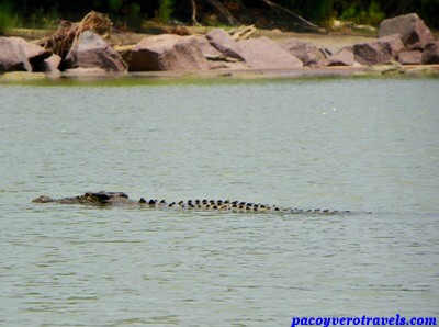 Excursion al East Alligator River de Australia