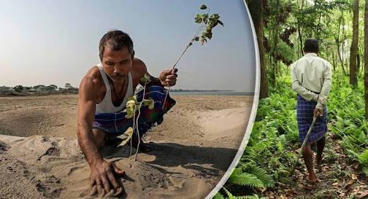 Plantó árboles cada día por 37 años, ni te imaginas como luce ahora Plantó árboles cada día por 37 años, ni te imaginas como luce ahora