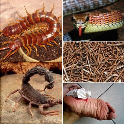 Related image