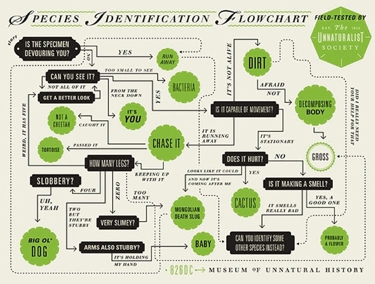 im an artist not a mathematician skillshare projects well designed flow charts