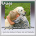 Amigo