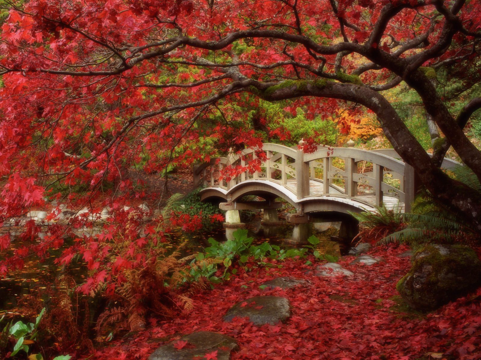Gardens HD Wallpapers Gardens HD Wallpapers