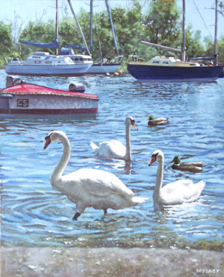 swans_and_boats_at_christchurch_harbour