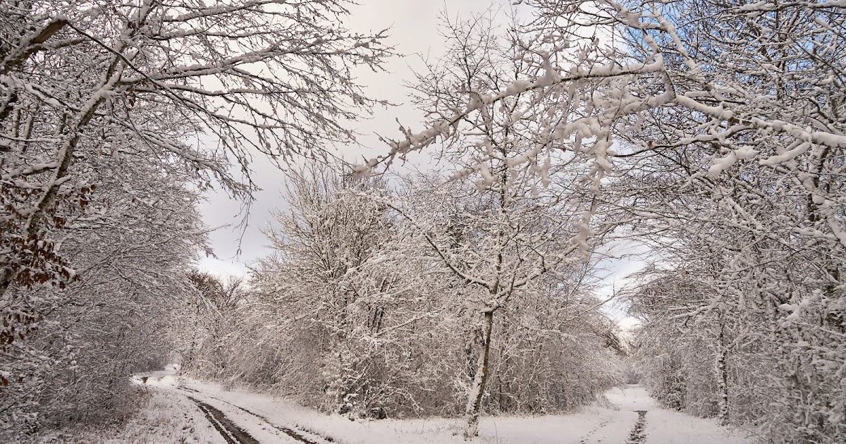 Retour du froid Retour du froid