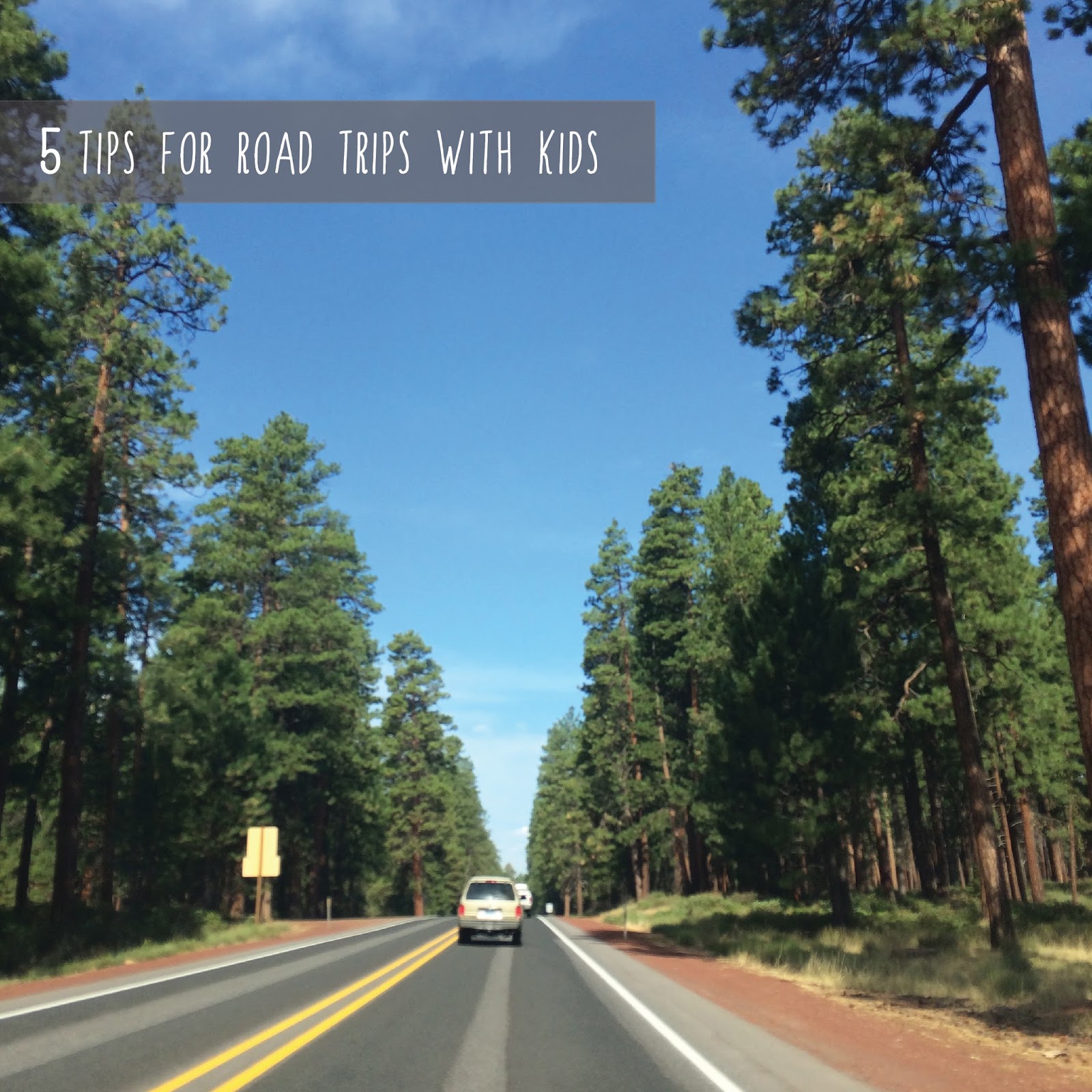 Tee Penguin Five Tips For Road Trips With Kids tee-penguin-five-tips-for-road-trips-with-kids