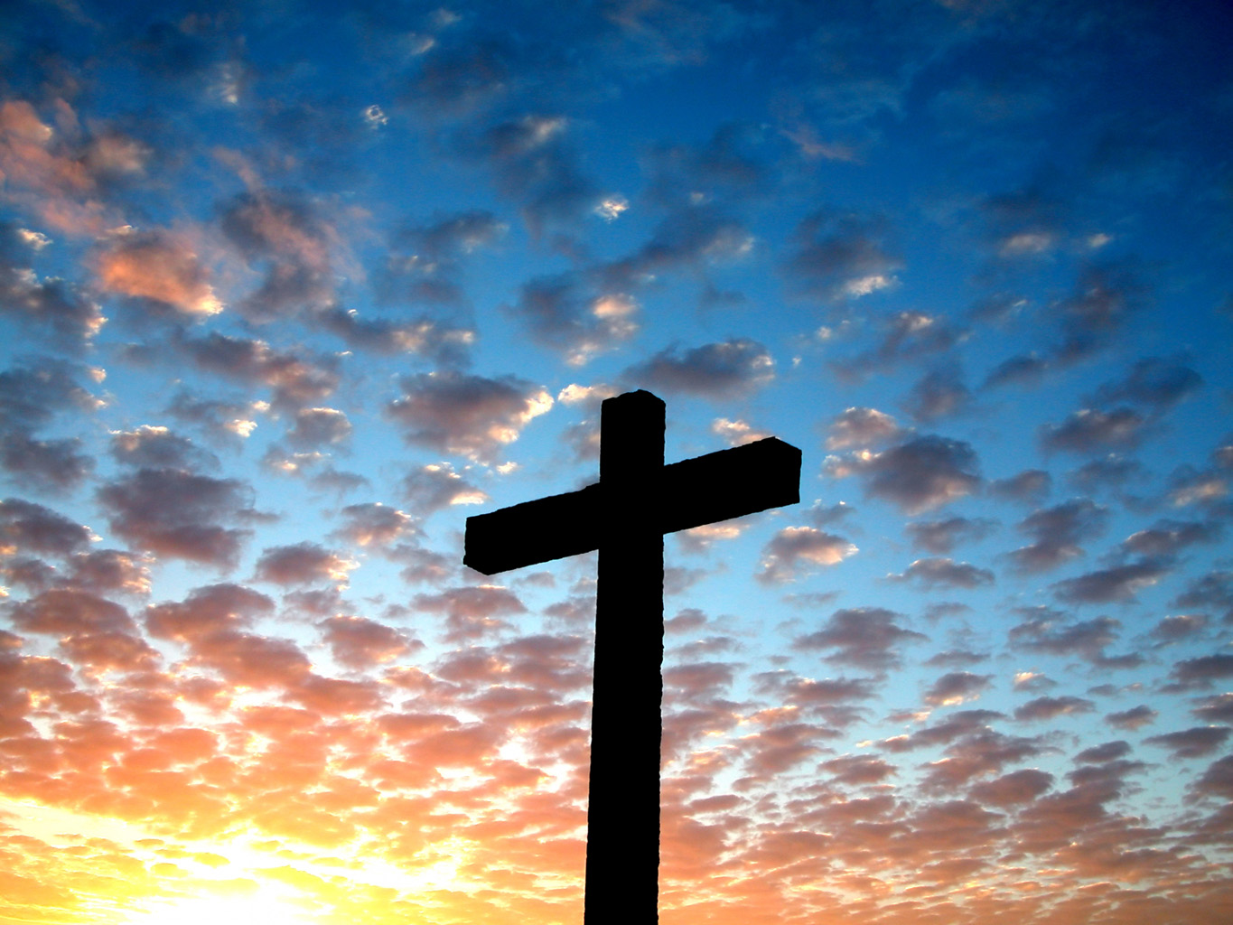 Thomas Creedy The Wonder Of The Cross