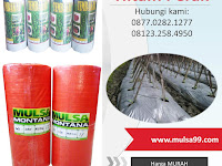 Cara Budidaya Mentimun yang Benar dengan Mulsa Plastik Cara Budidaya Mentimun yang Benar dengan Mulsa Plastik