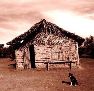 Resultado de imagem para A voz do Sert&atilde;o Nordestino