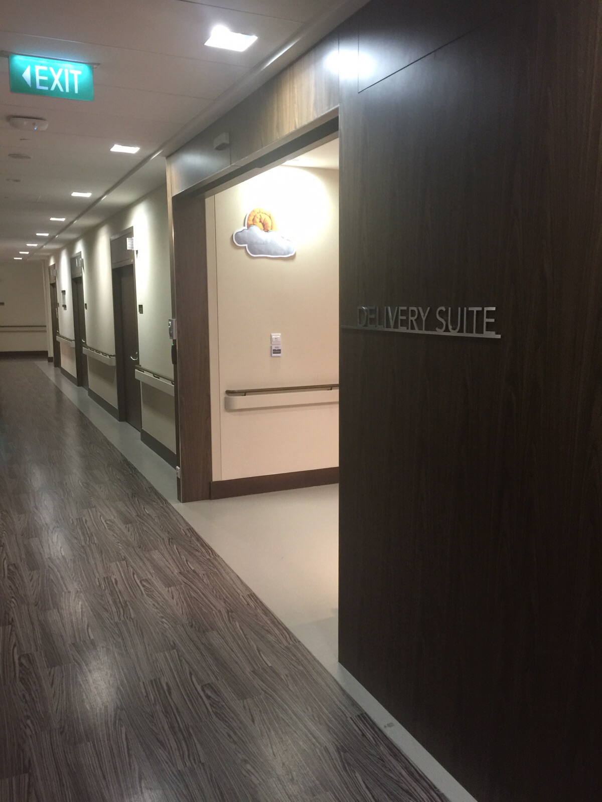 Hospital Tour Part 1 Mount Elizabeth Novena