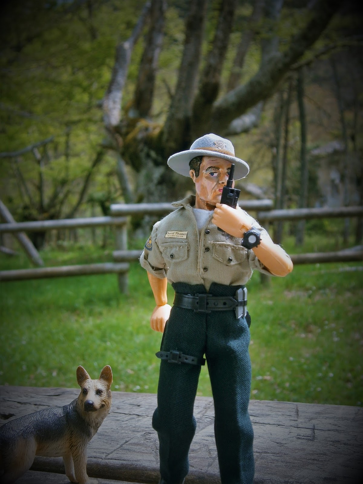 Varon Cook y sus colecciones *** EEUU Guardabosques