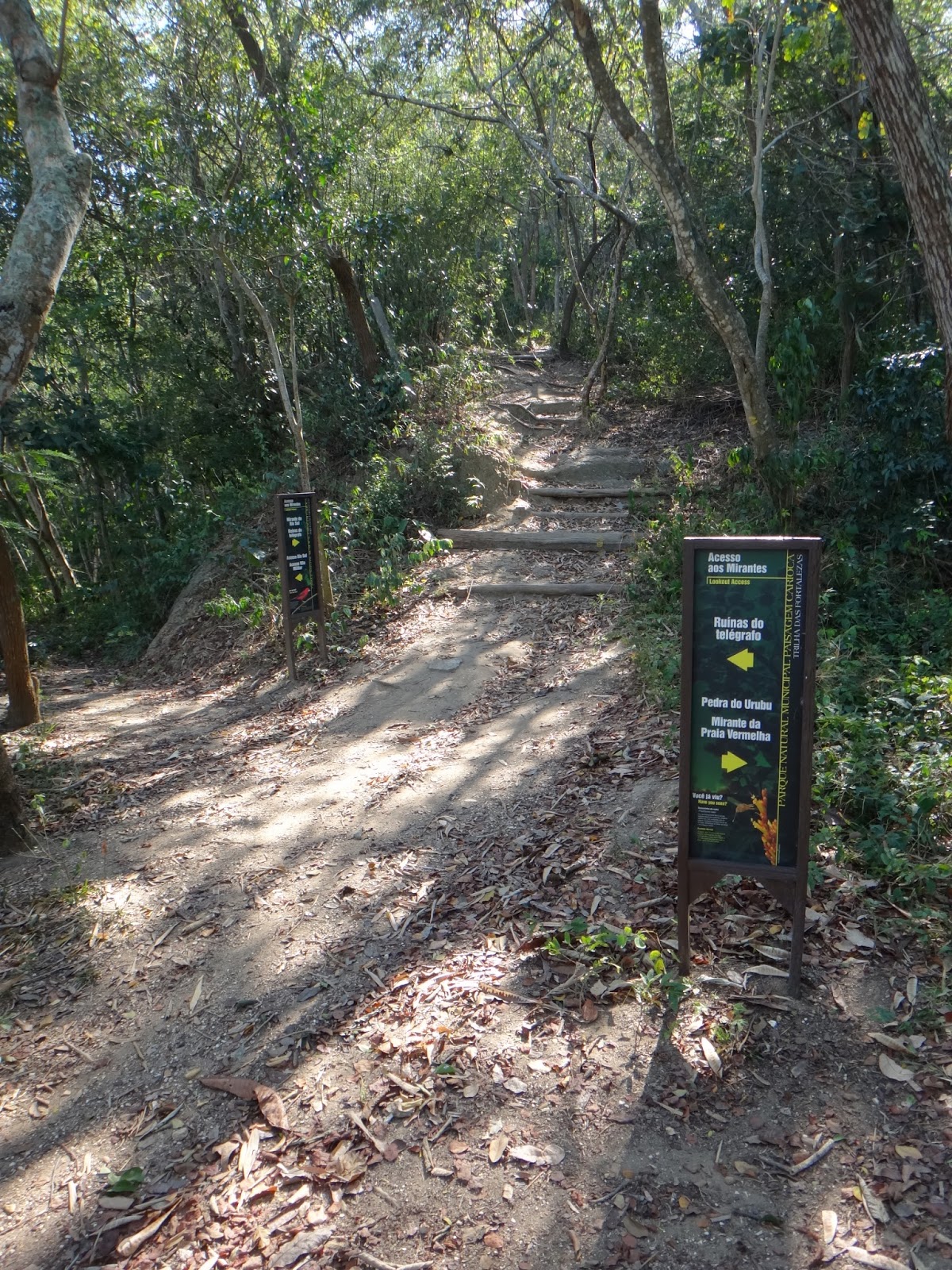 Transcarioca Trail · Section 24