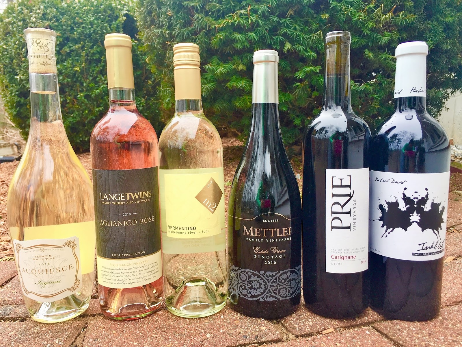 Vino Travels An Italian Wine Blog It's All About Variety in the Land of the Lodi Wine Region