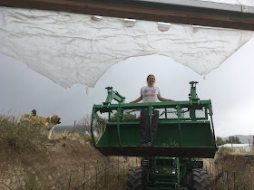 Buckhorn Mountain Gardens: The New Agrarians