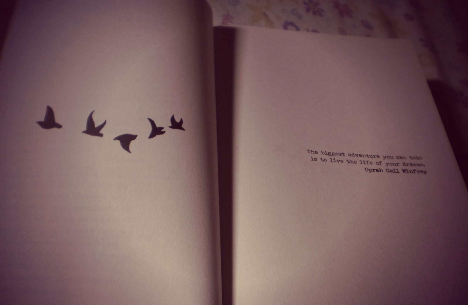 Fashionista Aguda Leitura Depois Dos Quinze