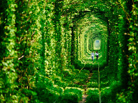tunnel-of-love-ukraine-8