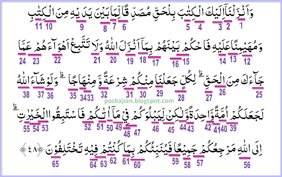 Hukum Tajwid Al Quran Surat Al Maidah Ayat 48 Lengkap Latin Penjelasan Dan