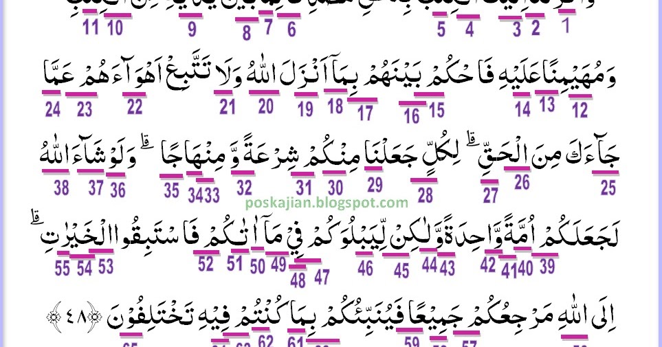 Hukum Tajwid Al Quran Surat Al Maidah Ayat 48 Lengkap Latin Penjelasan Dan Artinya
