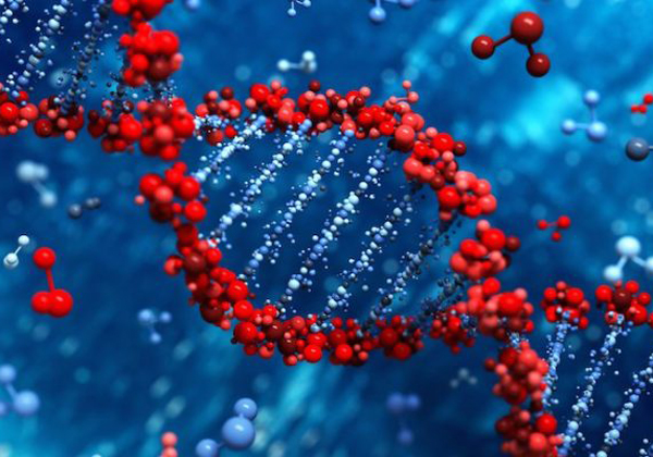 Αποτέλεσμα εικόνας για DNA, Γονίδια, Ασθένειες και Eμείς""