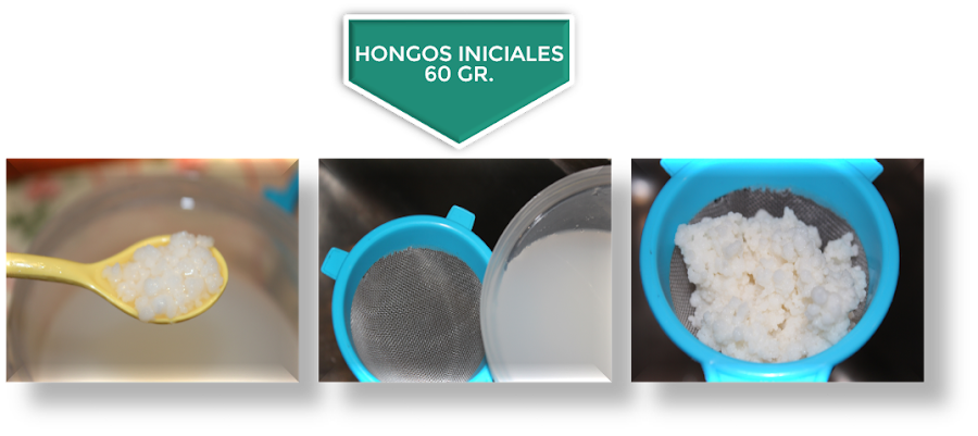 CÓMO ELABORO KÉFIR CASERO DE LECHE {PASO A PASO}