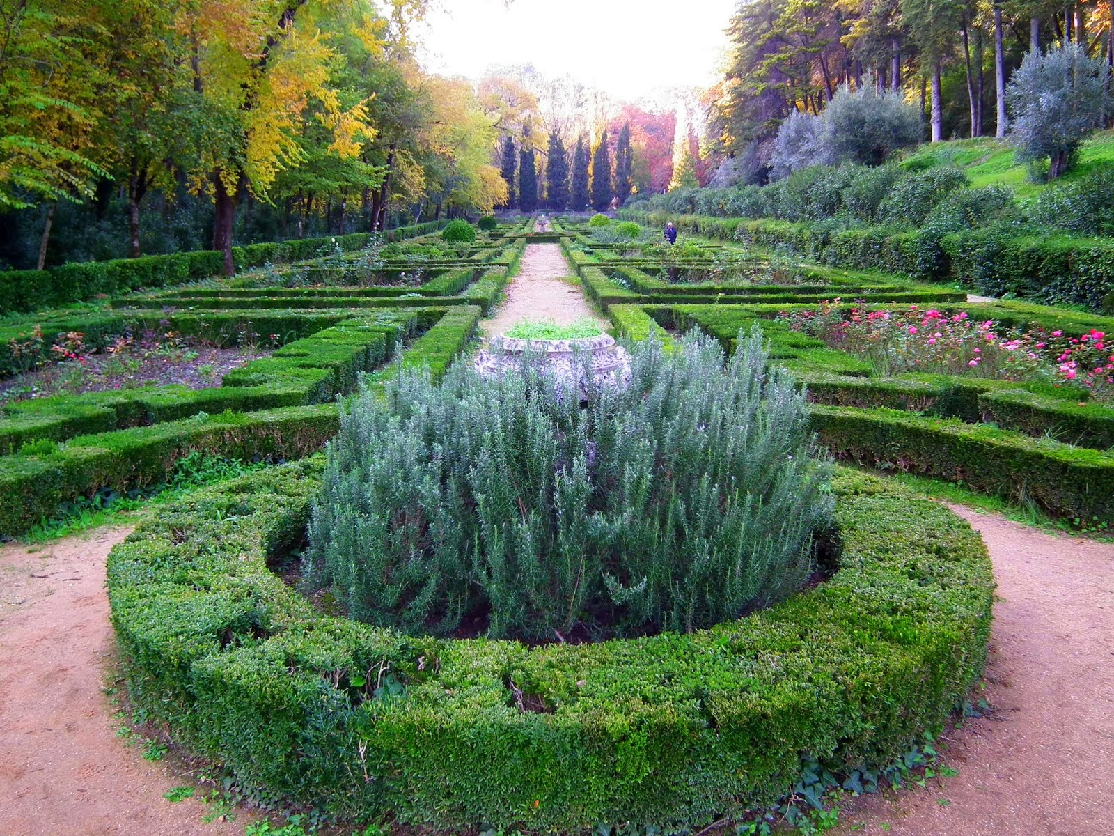 Mata Nacional dos Sete Montes - Tomar