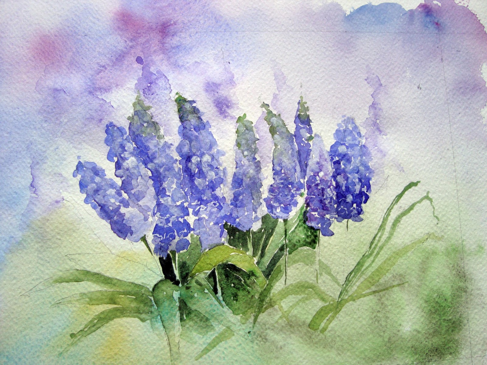 Watercolour Florals Grape Hyacinths