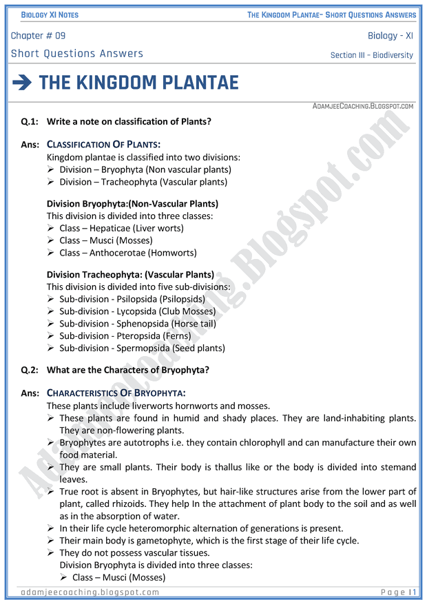 kingdom-plantae-short-question-answers-biology-11th