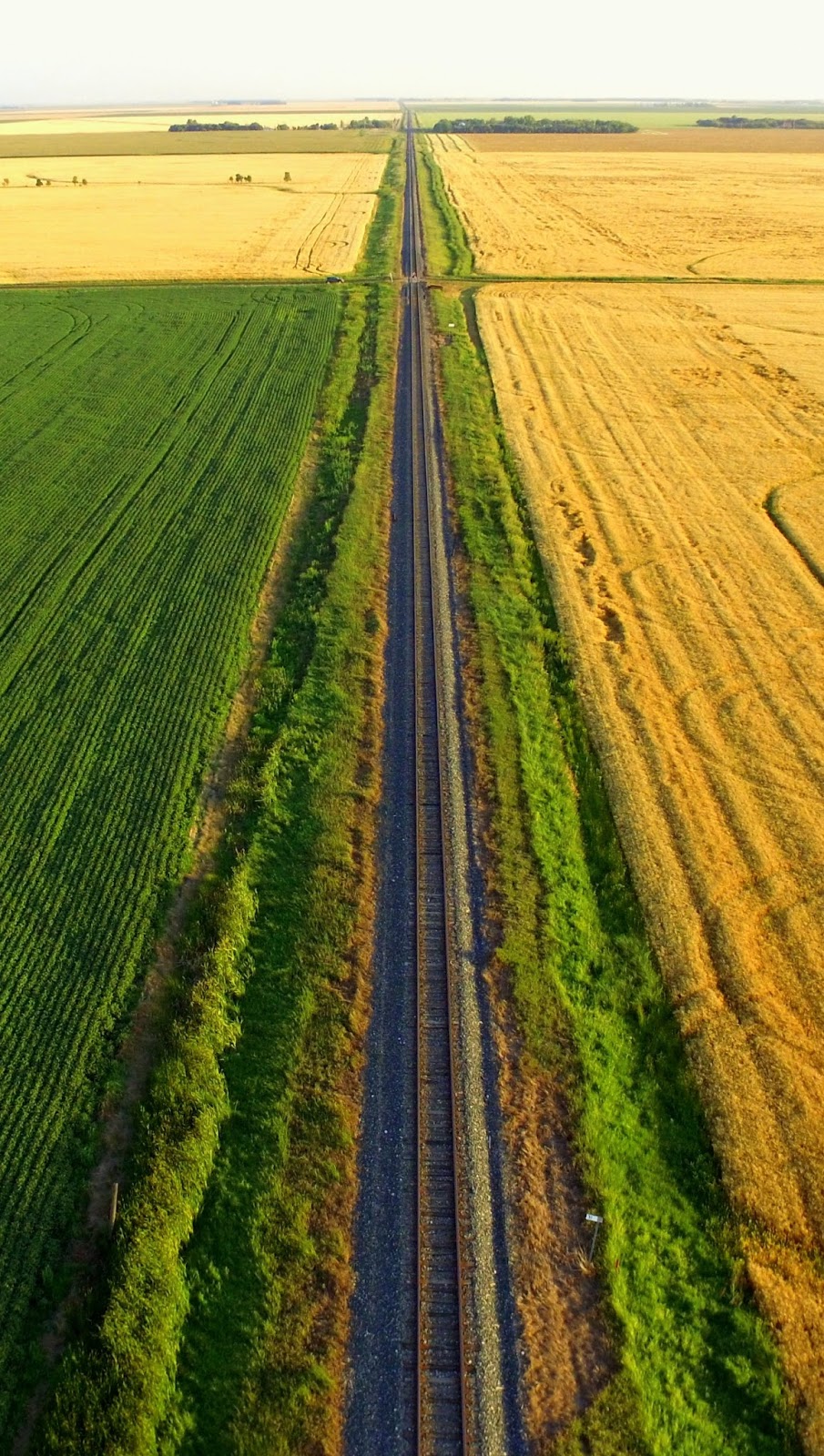 Common French Canadian Slang