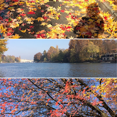 Autumn in Turin