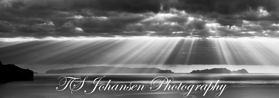 TS_Johansen Photography