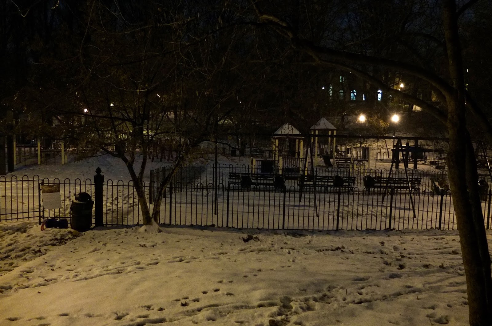 Prospect Park First Snow