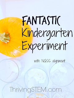 This Kindergarten science experiment gave us some surprising results!  It might just help us grow better pumpkins next year too.
