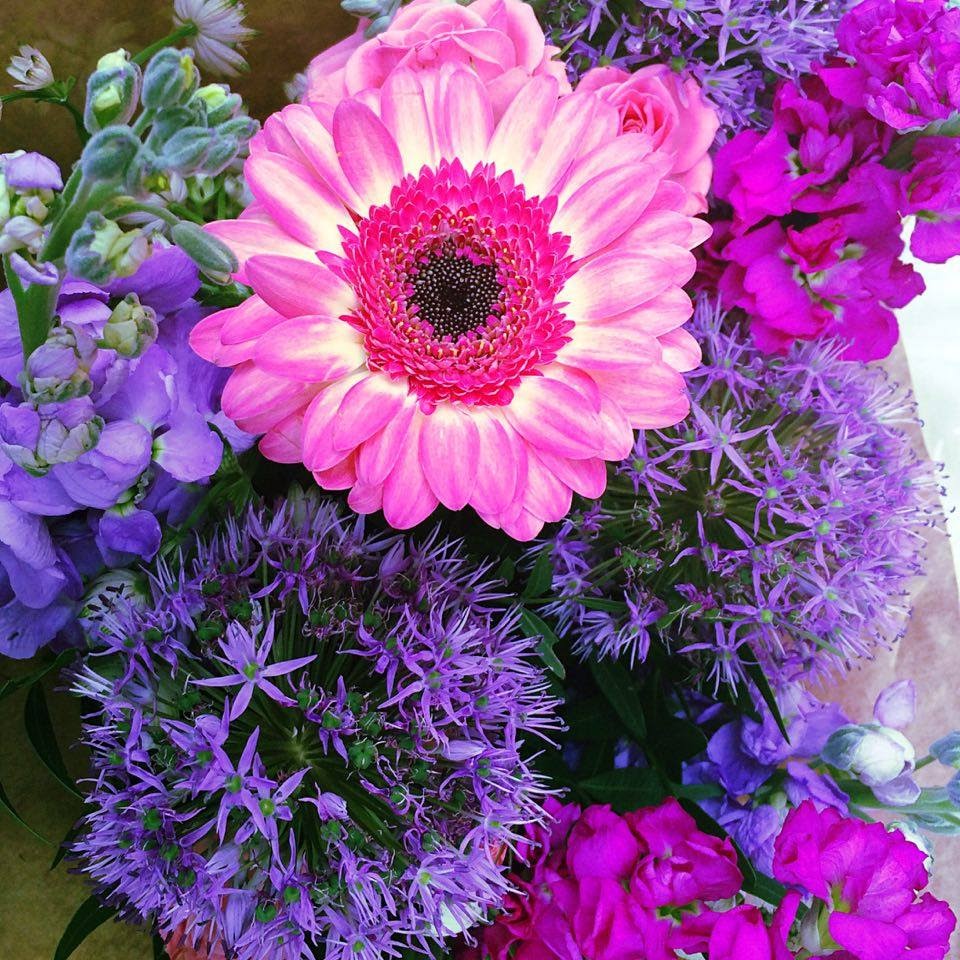 , Purple Flowers #MySundayPhoto