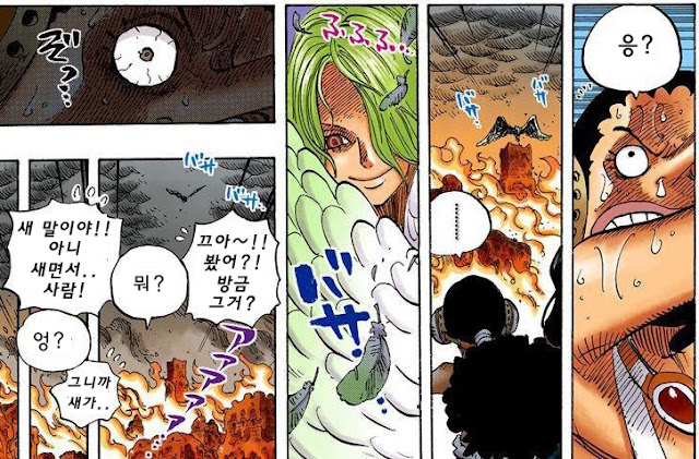 [원피스연구] 모네와 밀짚모자해적단 | 인스티즈