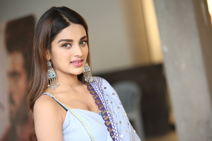 Nidhhi Agerwal in Savyasachi movie