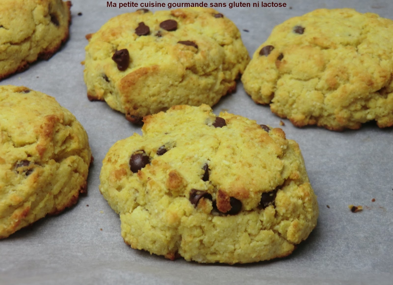 Cookies à la noix de coco sans gluten et sans lactose - Ma petite