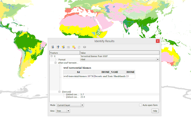 WMS Identify Result Window