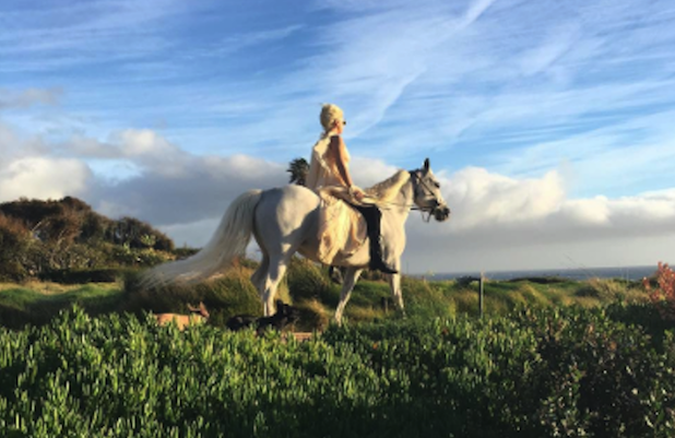 dream%252C+horse%252C+Malibu%252C+inspir