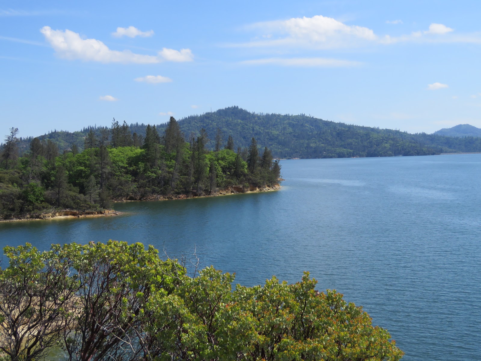 RMSO Bigfoot Shingletown Sasquatch & Mt Lassen Bigfoot Activity