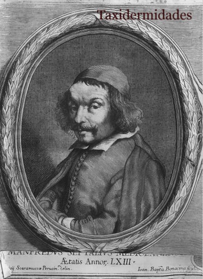 El de Manfredo Settala. Taxidermidades